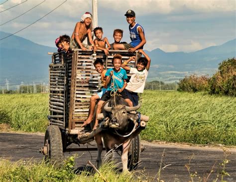 average lifespan philippines|Philippines .